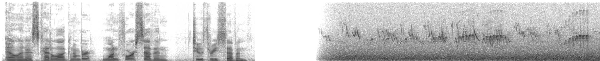 Eye-ringed Thistletail - ML147237