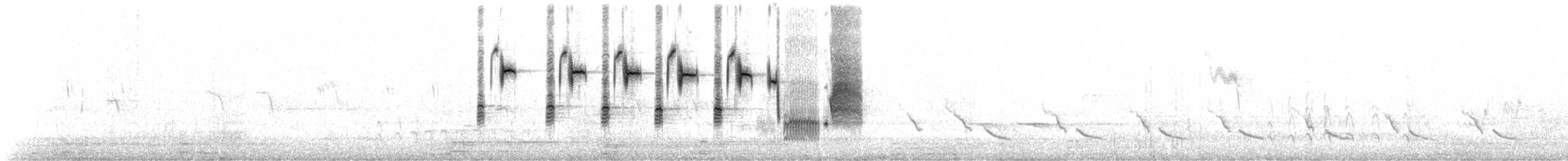 strnadec zpěvný (ssp. melodia/atlantica) - ML147240441