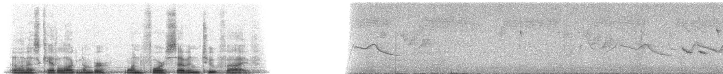 Rufous-vented Tit - ML14725