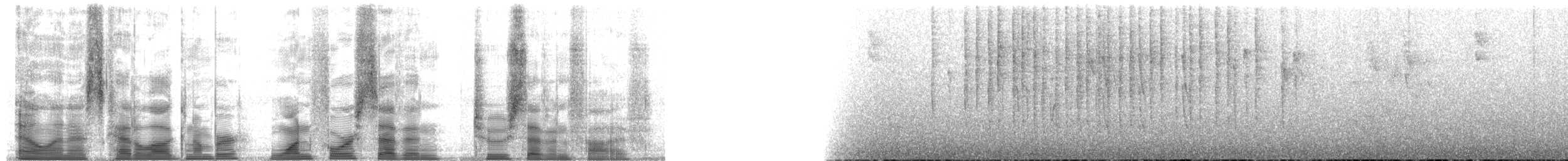 Ak Kaşlı Hemispingus (leucogastra/insignis) - ML147275