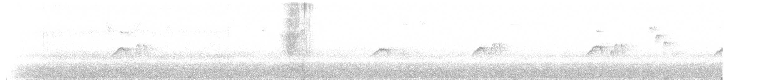 Светлобрюхий фиби - ML147330141