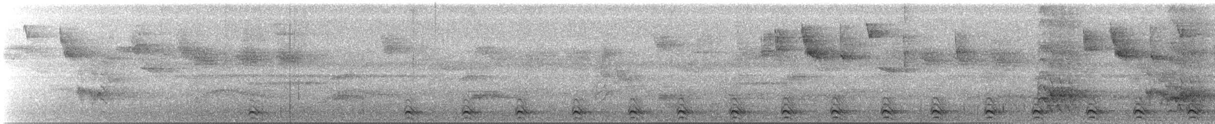Slaty-tailed Trogon (Massena) - ML147336421