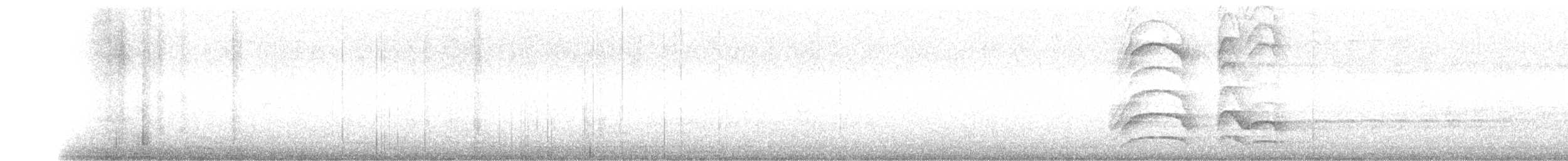 Büyük Kiskadi Tiranı - ML147350531
