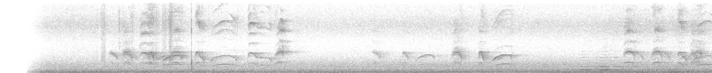 Büyük Kiskadi Tiranı - ML147352811