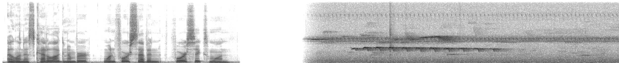 Western Fire-eye (maura Group) - ML147461