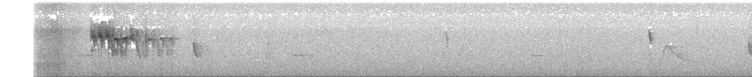 meridablomsterborer - ML147477371