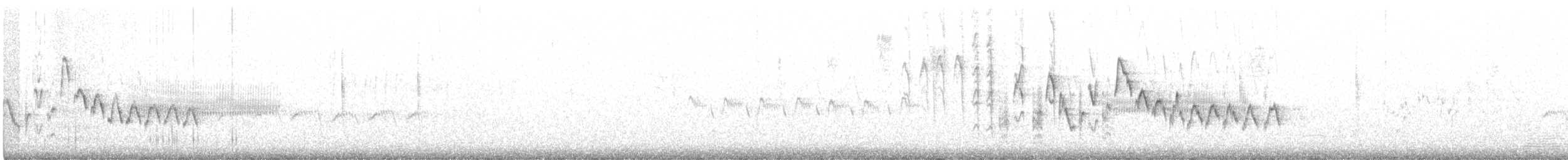 Troglodyte familier (groupe aedon) - ML147519841