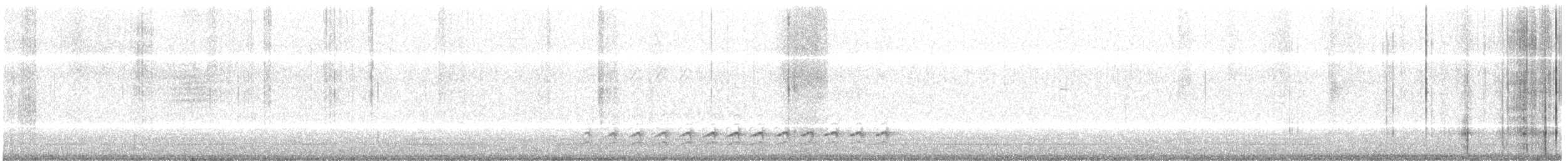 Weißbrustkleiber (carolinensis) - ML147520511