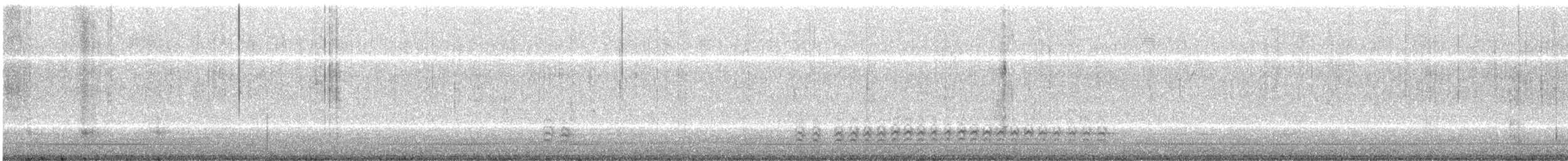Weißbrustkleiber (carolinensis) - ML147520541