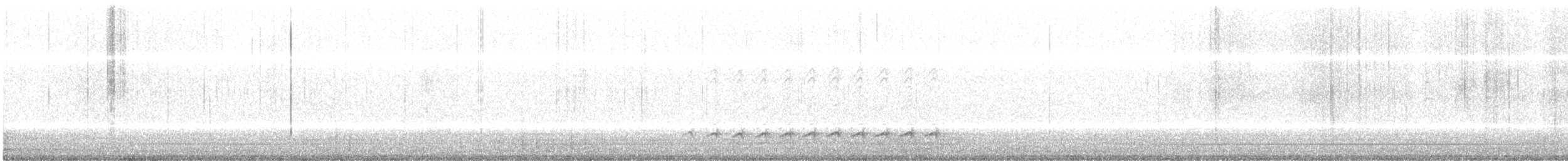 Weißbrustkleiber (carolinensis) - ML147520561