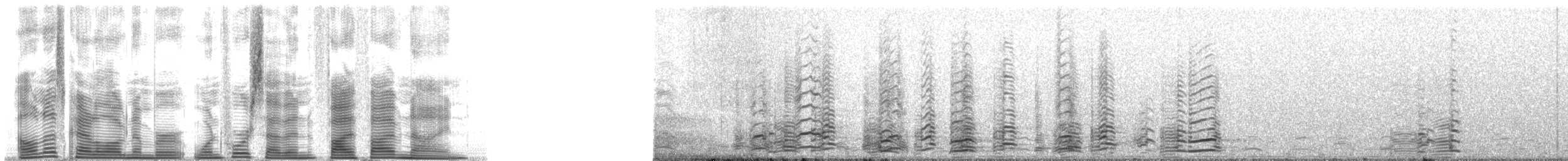 小加拿大雁 - ML147559