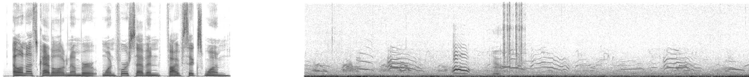 Iceland Gull (Thayer's) - ML147561