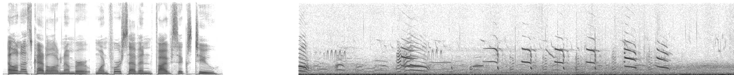 Iceland Gull (Thayer's) - ML147562