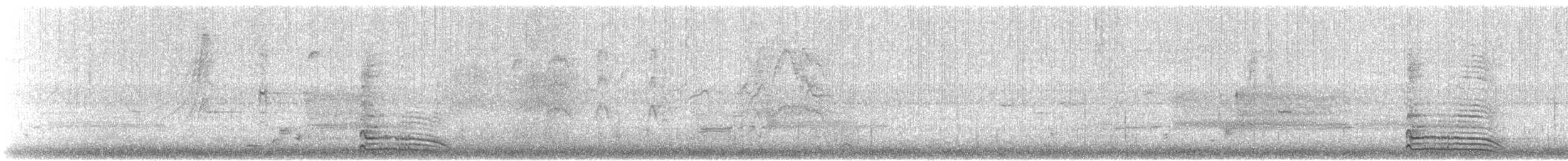 Бор шувууны багын тодорхойгүй зүйл - ML147566111