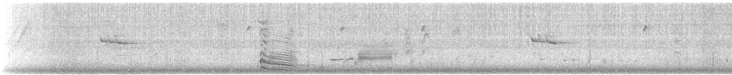 Бор шувууны багын тодорхойгүй зүйл - ML147569521