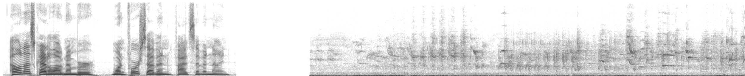 セスジツバメ（pallida） - ML147579