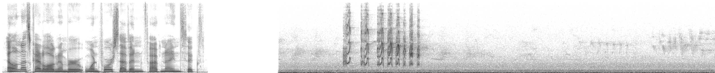 Ladder-backed Woodpecker - ML147596