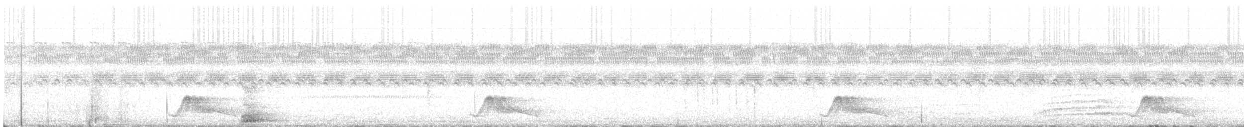 Common Pauraque - ML147627871