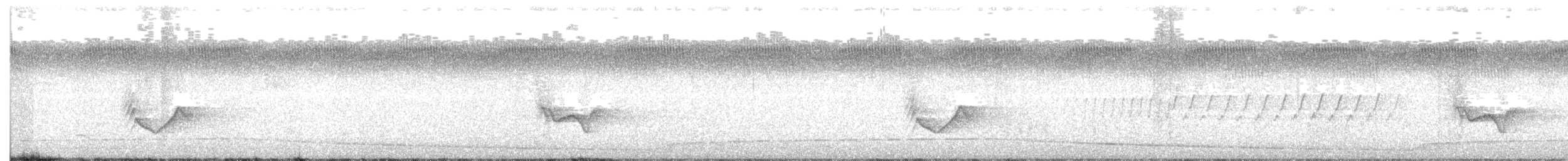 eremittvireo - ML147821391