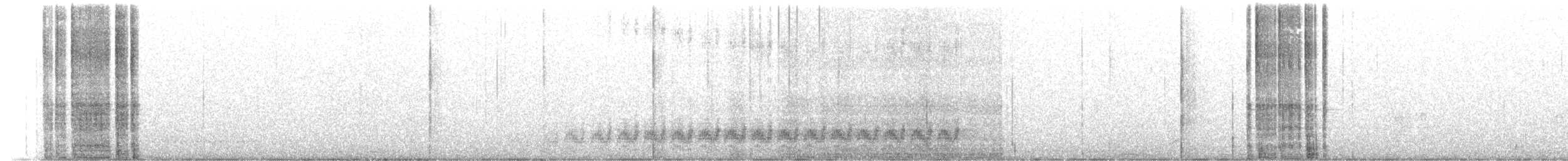 Cactus Wren - ML147849811