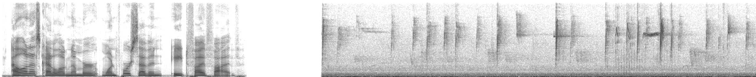 Piranga érythrocéphale - ML147855