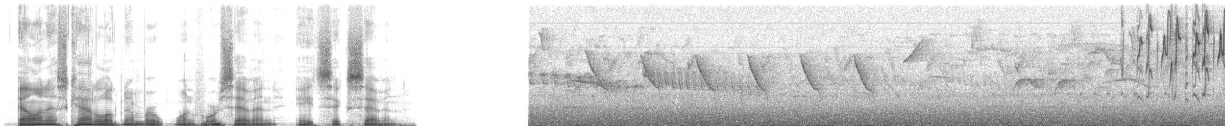 Alev Karınlı Dağ Tangarası (igniventris) - ML147867