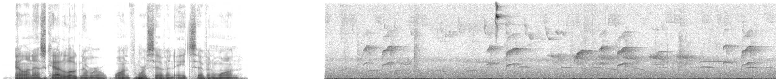 Alev Karınlı Dağ Tangarası (igniventris) - ML147871