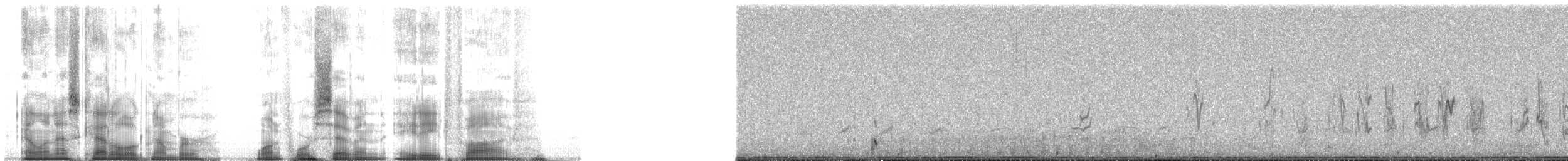 Деревенская ласточка (erythrogaster) - ML147885