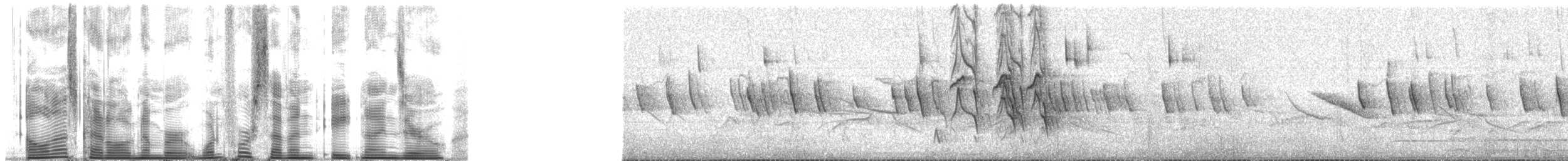 chiguancotrost (chiguanco/conradi) - ML147890