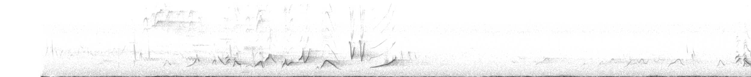 gyllentykknebb (aurantiacus) - ML147987421