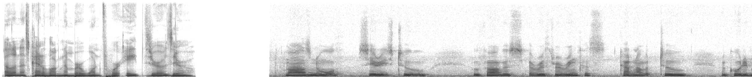 Rotschnabel-Madenhacker - ML14800