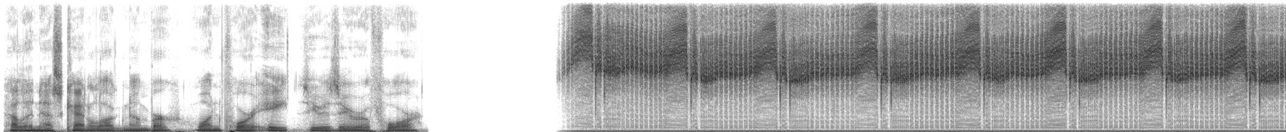 Typical Cicadas - ML148004