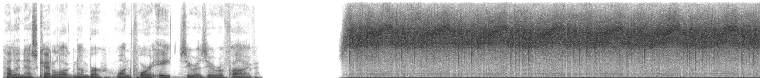 Typical Cicadas - ML148005