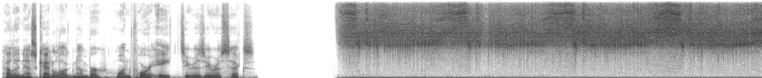 Typical Cicadas - ML148006