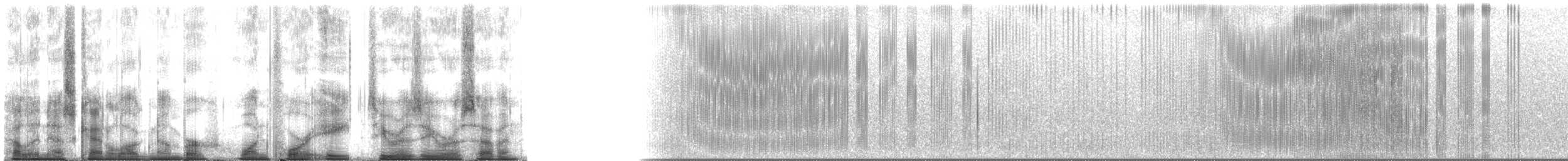 Typical Cicadas - ML148007