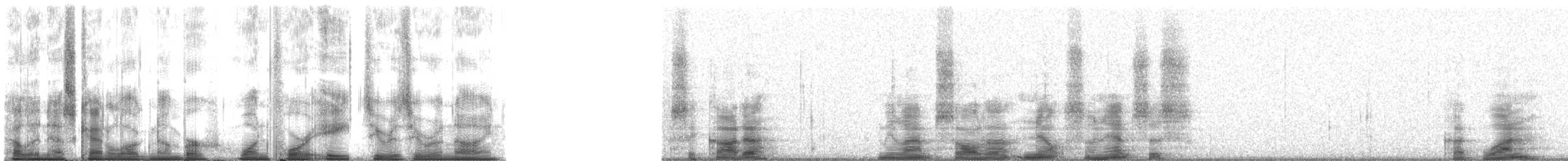 Typical Cicadas - ML148009