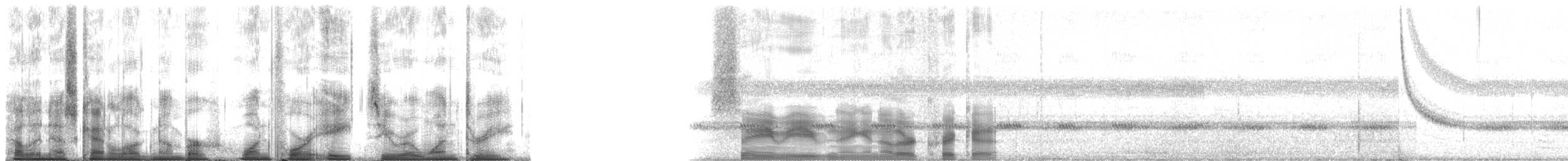 Narrow-winged Tree Cricket - ML148013