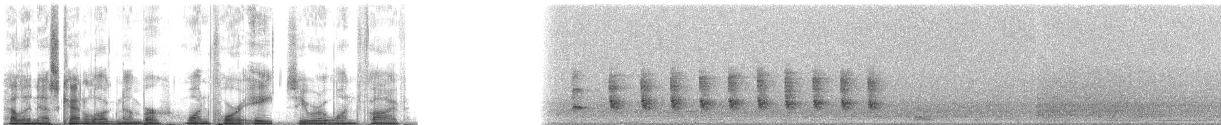 Mourning Gecko - ML148015