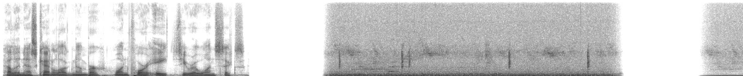 Pacific Gecko - ML148016