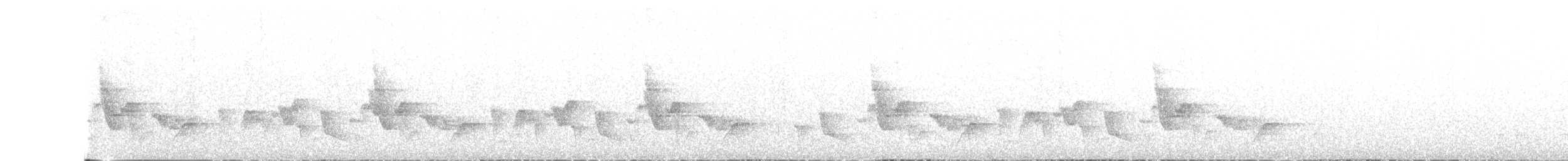 Серогрудый крапивник [группа mexicana] - ML148042811
