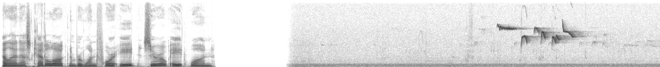 Brown Creeper - ML148081