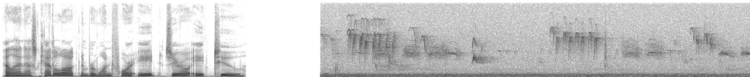 Mountain Chickadee - ML148082