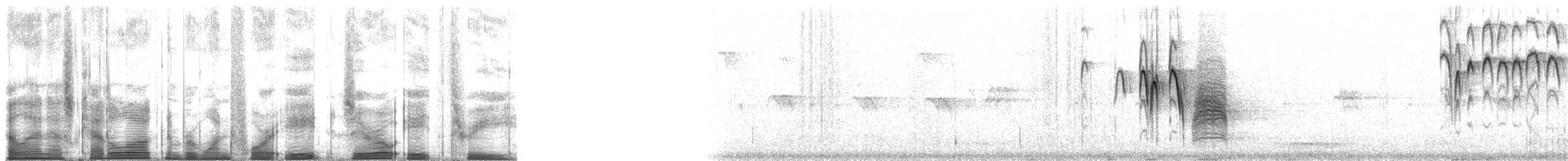 Mountain Chickadee - ML148083