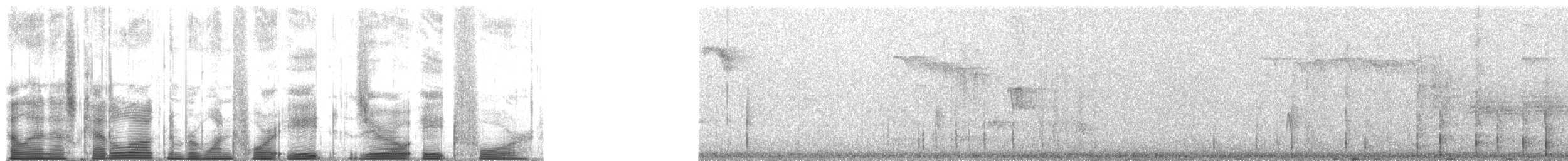 White-headed Woodpecker - ML148084