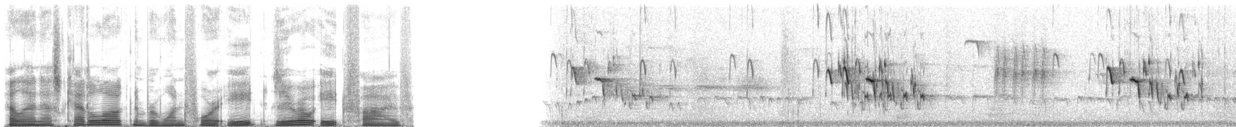 Pygmy Nuthatch - ML148085