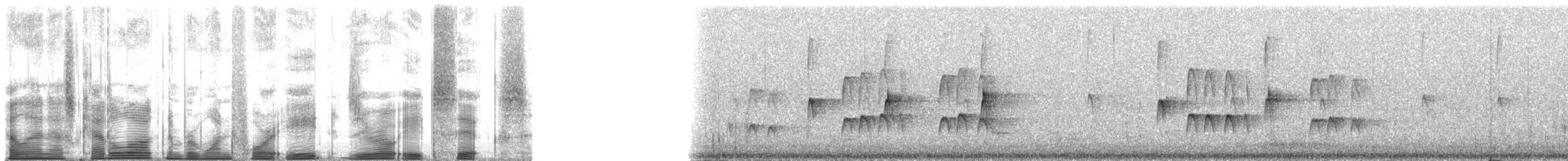 Western Bluebird - ML148086