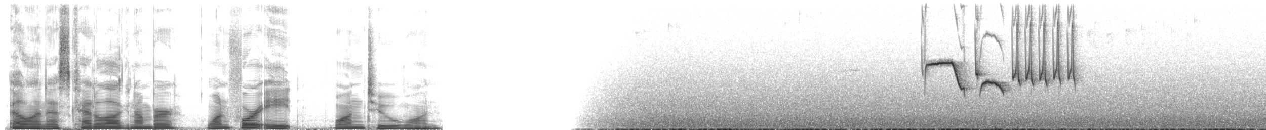 Белохохлая курутия (albiceps) - ML148121