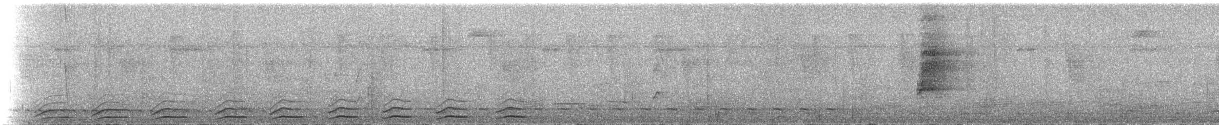 Black-tailed Trogon - ML148144211