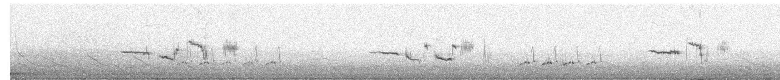 White-crowned Sparrow - ML148178441