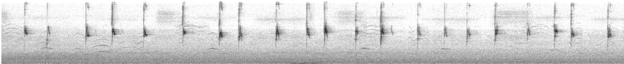 White-crowned Sparrow - ML148183991